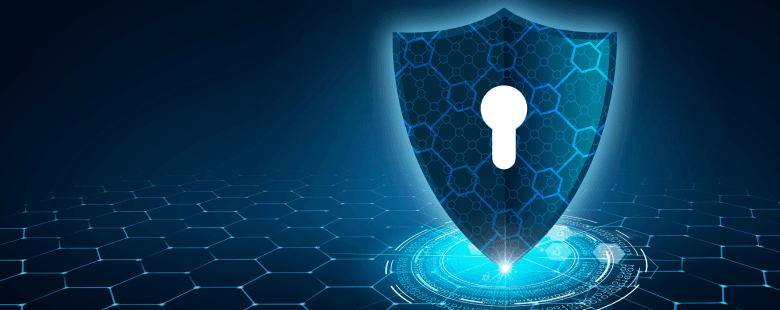 A basic understanding of encryption, firewalls, network security protocols and principles of ethical hacking will ensure that they are equipped to safeguard personal and professional data.